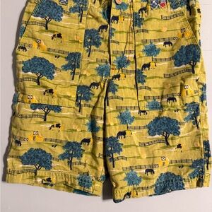 Matilda Jane x Joanna Gaines boys size 8 shorts